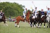 UKPA NC SAT_2855